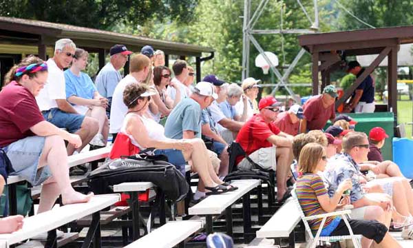 Fans-In-The-Stands