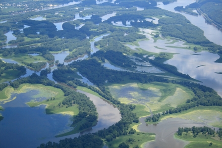 Mississippi backwaters