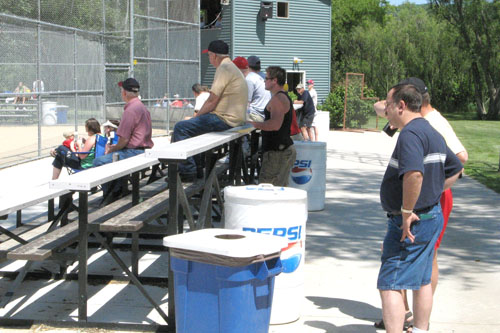 Fans at the Game
