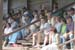 The-Fans-in-the-Stands