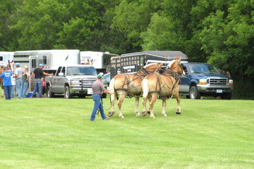 Horse-Pull-1