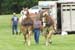 Horse-Pull-3