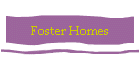 Foster Homes