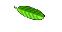 Misc
