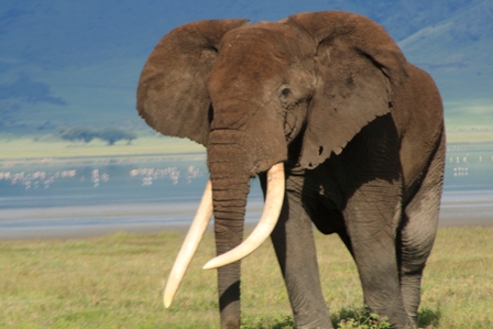 Ngorongoro Crater, Tanzania