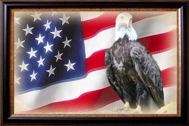 Patriotic Eagle