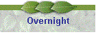 Overnight